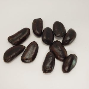 Pawpaw Seed Kit (Asimina triloba)