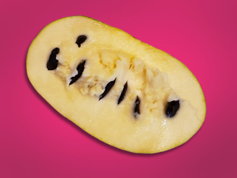 Pawpaw Fruit