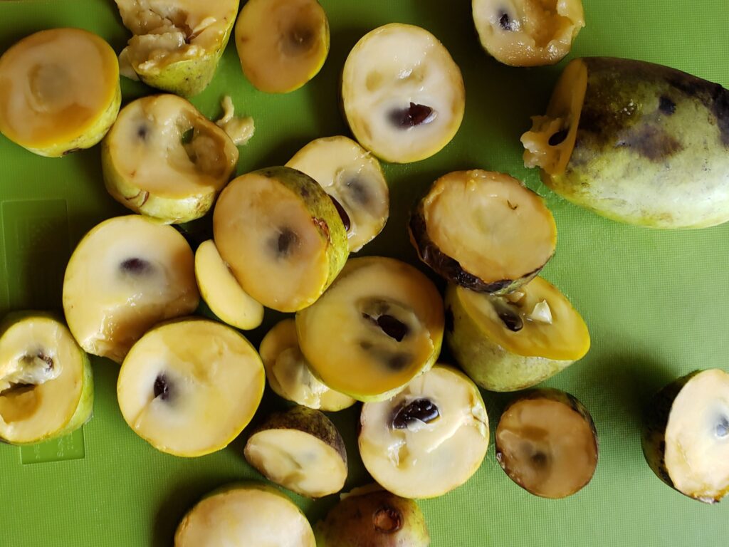 Pawpaw (Asimina triloba) fruit slices on a cutting board