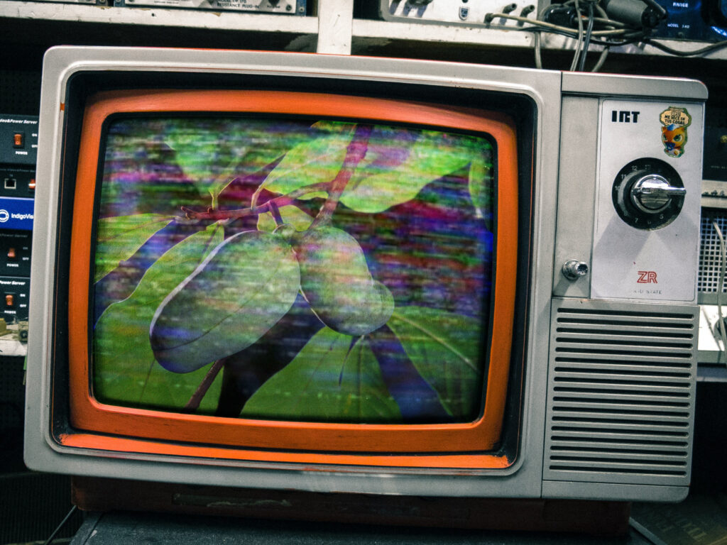 Pawpaw Fruit Image with Static on Old Television Set