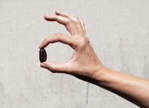 Hand with fanned fingers holding a pawpaw seed (Asimina triloba)