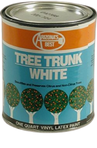 Arizona's Best Tree Trunk Paint