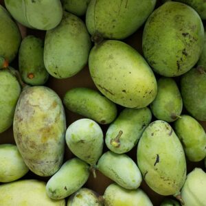 Pawpaw Workshop | Grow, Harvest & Enjoy Ohio's State Native Fruit